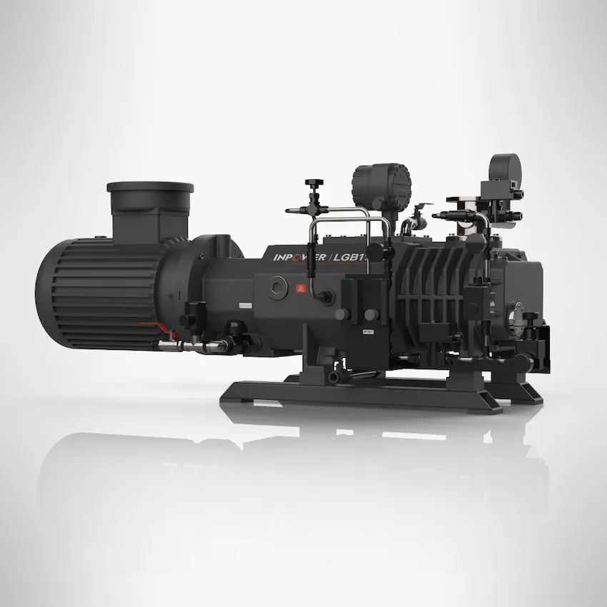 Dual Phase Rigid Oil-free Screw Vacuum Pump